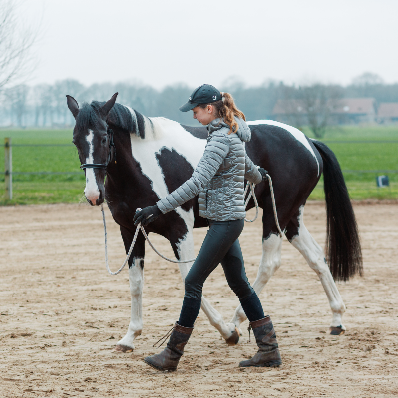 grondwerk om het paard te leren wijken voor druk